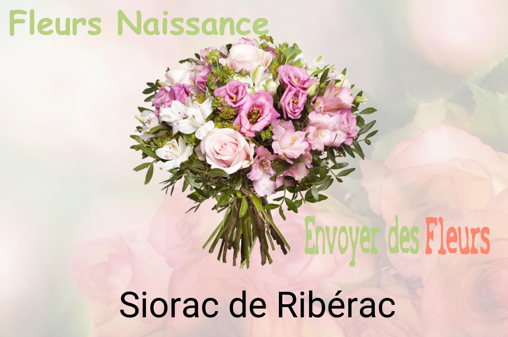 Bouquet de fleurs de naissance livré à Siorac-de-Ribérac